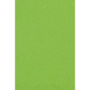 Amscan Obrus - Kiwi zelená 30,4 m x 1 m