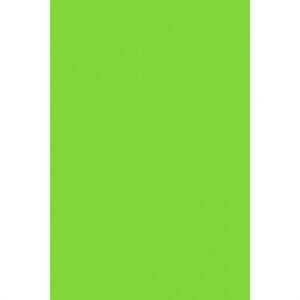 Amscan Obrus plastový zelený