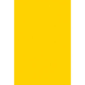Amscan Obrus plastový žltý 137 x 274 cm