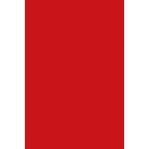 Amscan Obrus plastový červený 137 x 274 cm