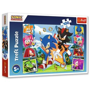 16465 Detské puzzle - Ježko Sonic - 100ks